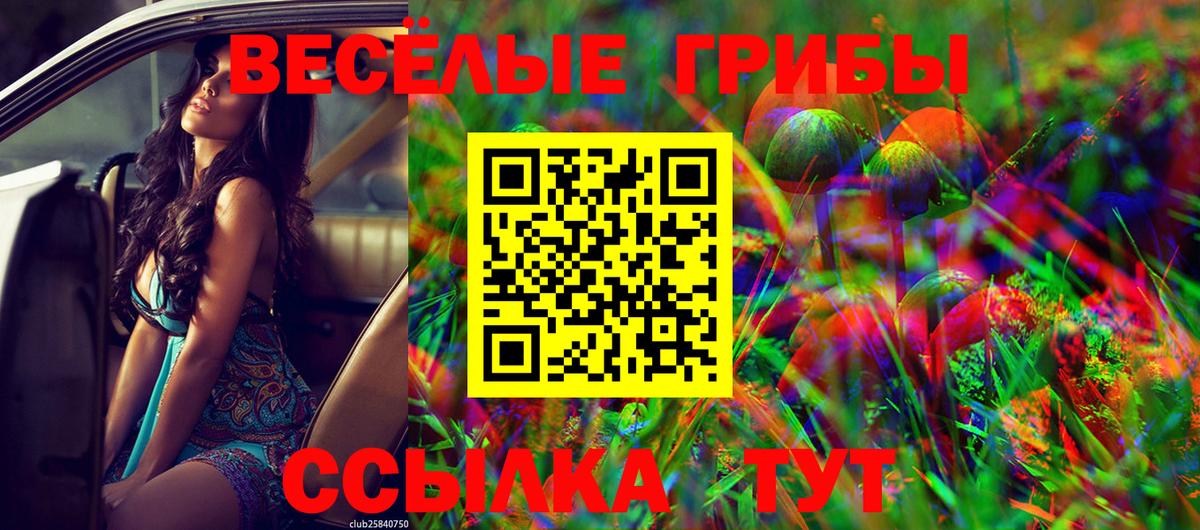 Псилоцибиновые грибы Psilocybine cubensis Калуга