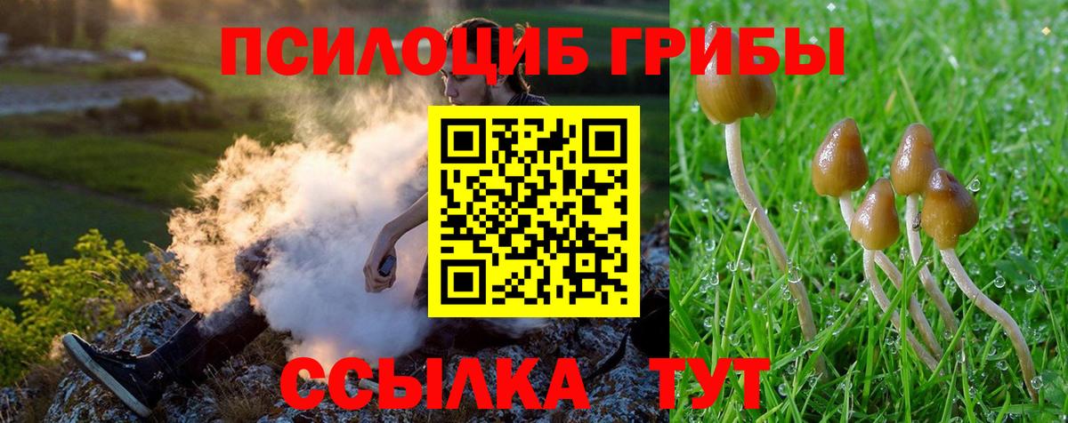 Галлюциногенные грибы Psilocybe  Вход с VPN  Калуга  Галлюциногенные грибы прущие грибы 